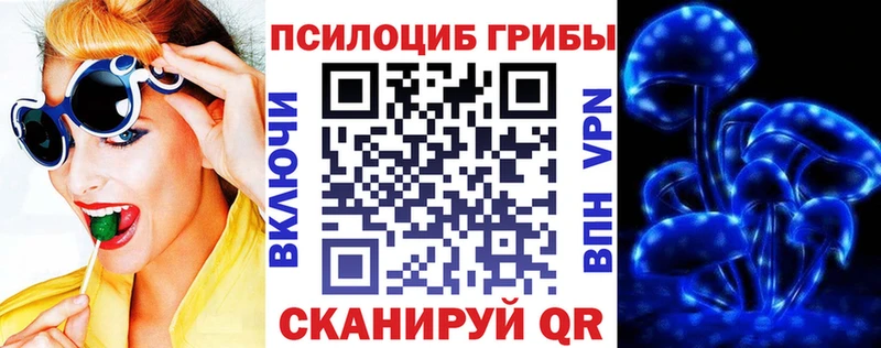 Галлюциногенные грибы ЛСД  купить   OMG ссылки  Киренск 